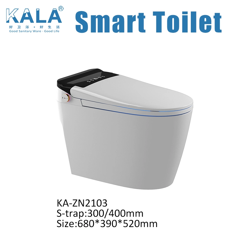 Smart Toilet Sanitary Ware Single-Piece Closet Toilet