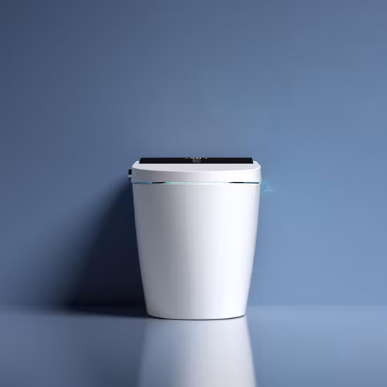 Ceramic Siphonic Wc Bathroom Flush Bidet Toilet